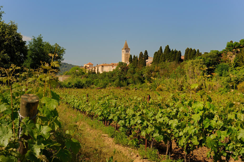 Les Jardins De Saint Benoit By Popinns Exterior foto