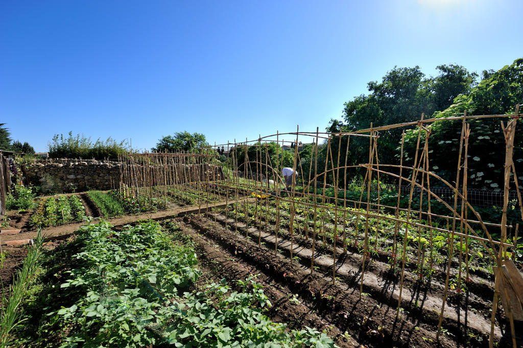 Les Jardins De Saint Benoit By Popinns Exterior foto